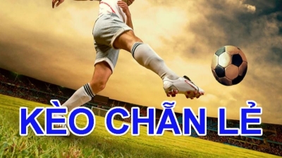 Cách bắt kèo chẵn lẻ - Phương pháp tăng tỷ lệ chiến thắng