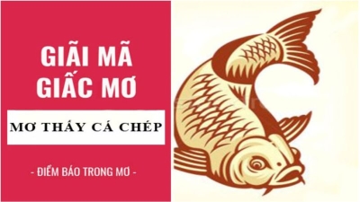 Mơ thấy cá chép - Giấc mơ phát tài cho bet thủ chơi lô đề